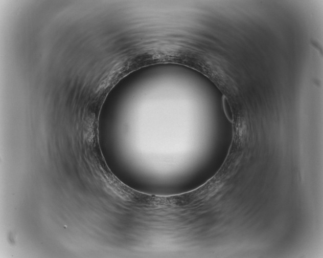 X0000100221012200805301342