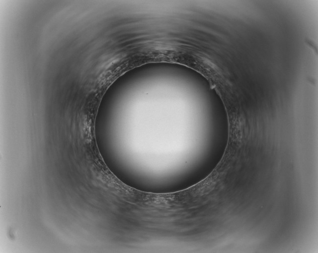 X0000100221013200805301342