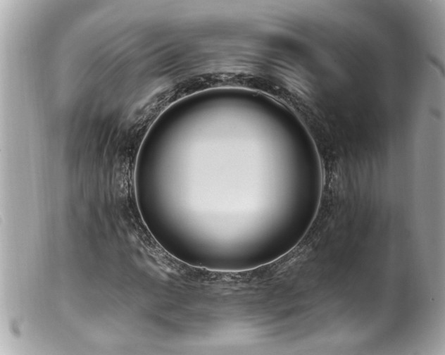 X0000100221014200805301342