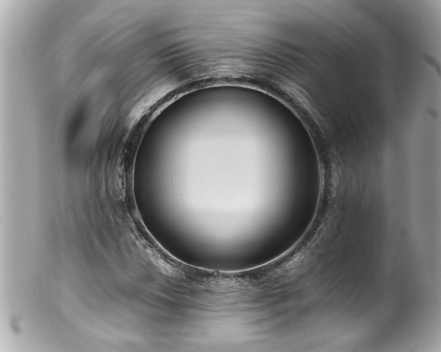 X0000100221018200805301342
