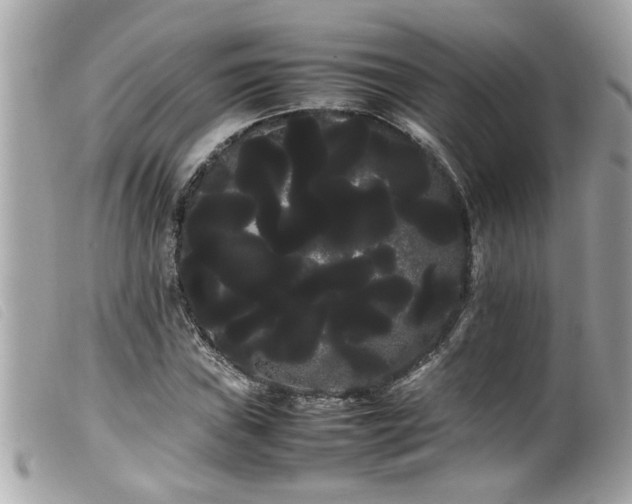 X0000100221019200805301342
