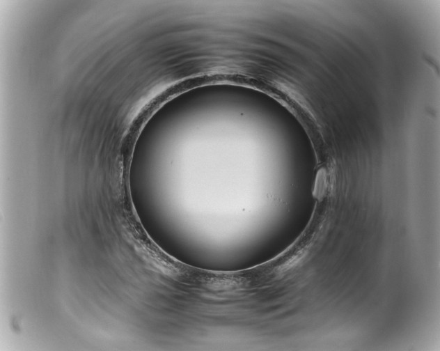 X0000100221021200805301342