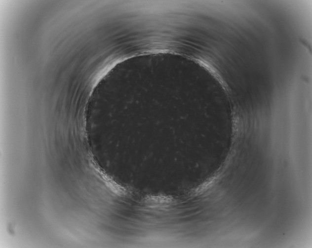 X0000100221023200805301342