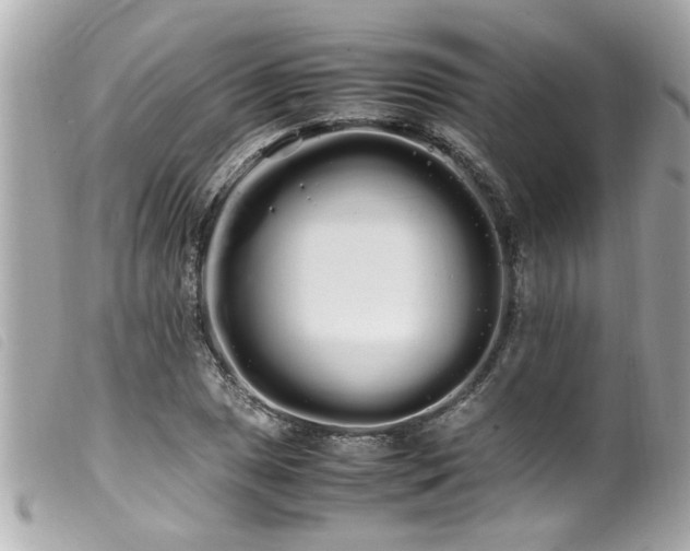 X0000100221025200805301342