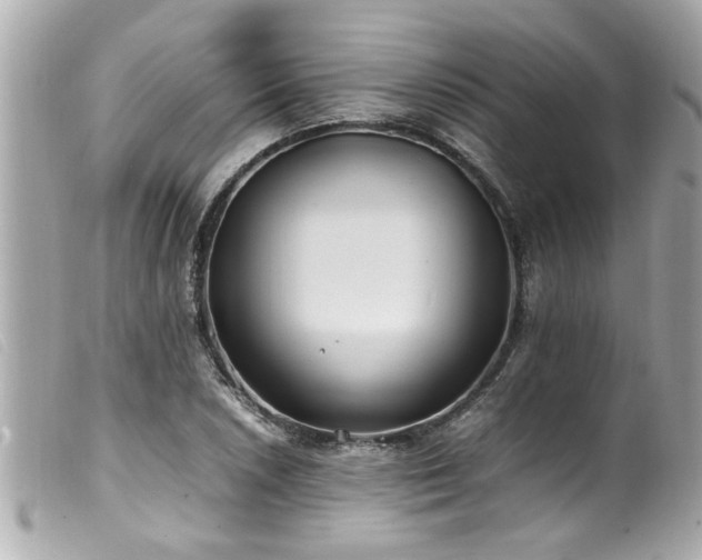 X0000100221026200805301342