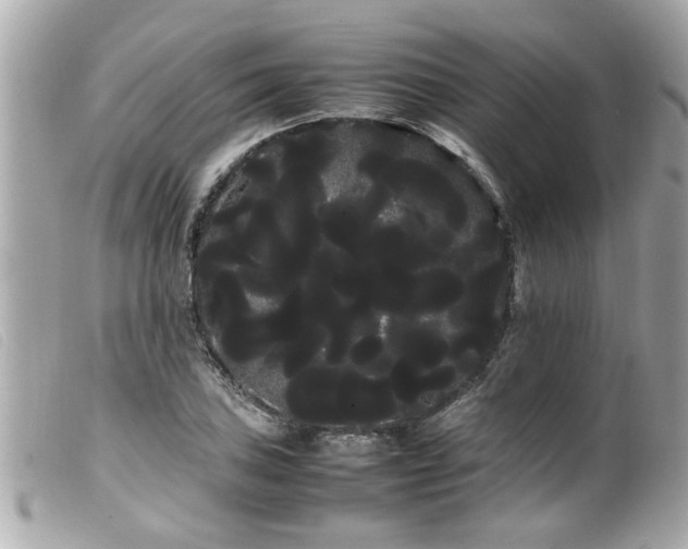 X0000100221027200805301342