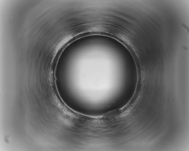 X0000100221029200805301342