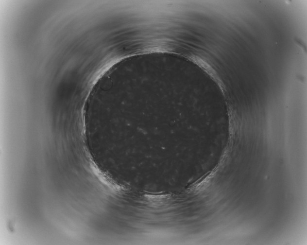 X0000100221031200805301342