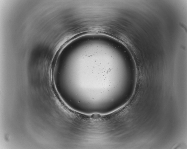 X0000100221032200805301342