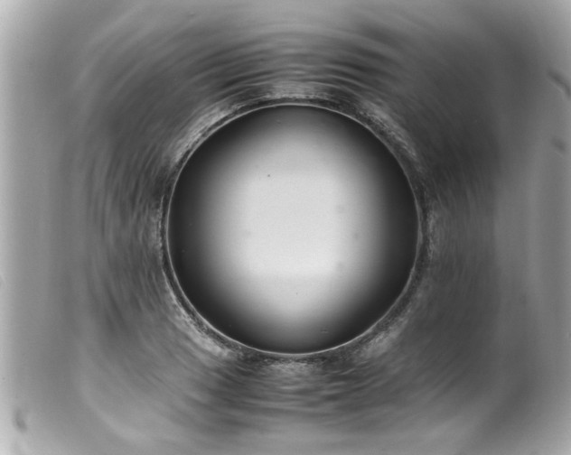 X0000100221033200805301342