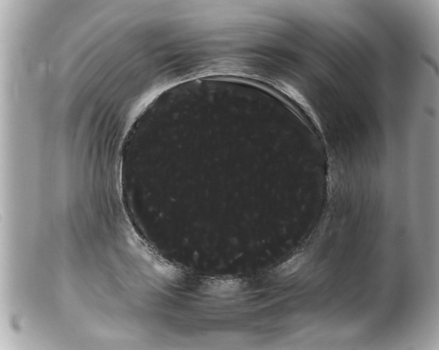 X0000100221035200805301342
