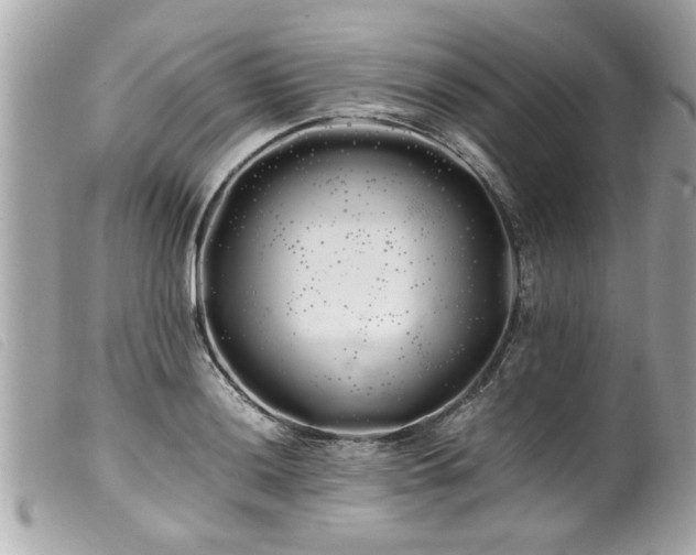 X0000100221036200805301342