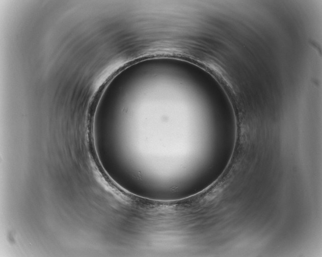 X0000100221038200805301342