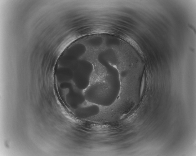 X0000100221039200805301343