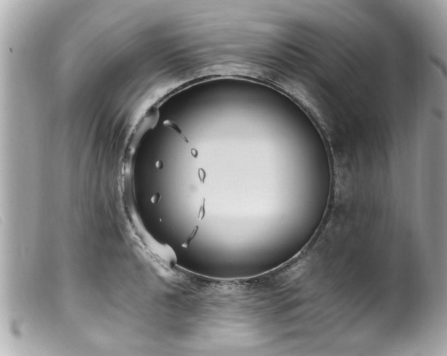 X0000100221040200805301343