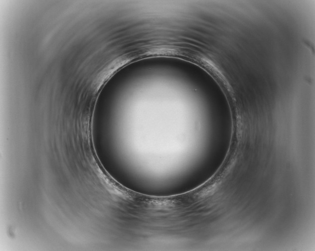 X0000100221041200805301343