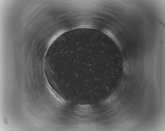 X0000100221043200805301343