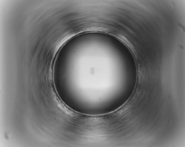 X0000100221044200805301343