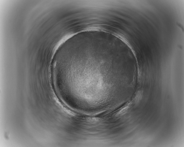 X0000100221045200805301343