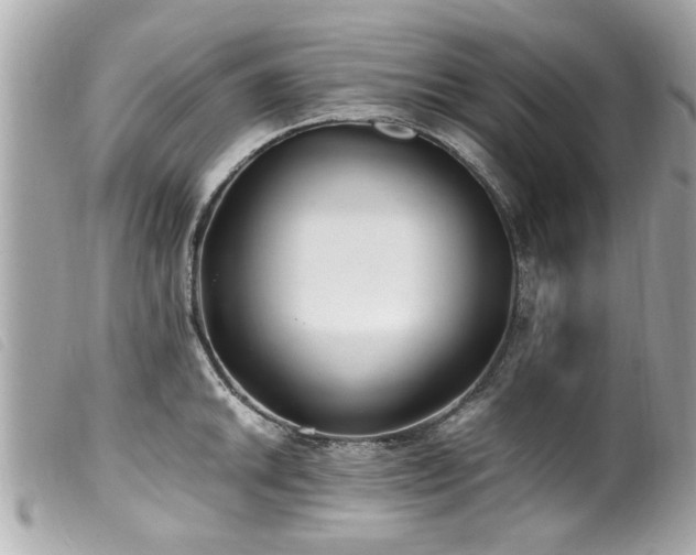 X0000100221046200805301343
