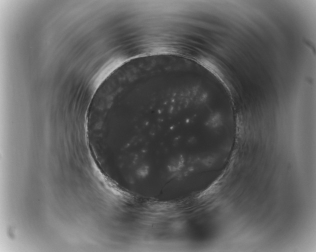 X0000100221047200805301343