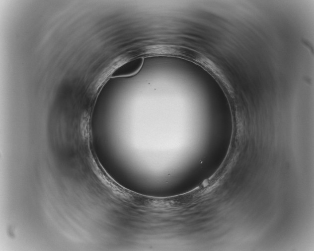 X0000100221049200805301343