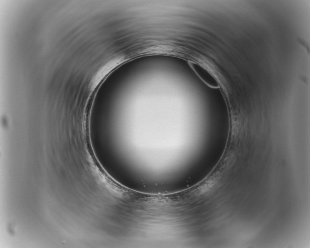 X0000100221050200805301343