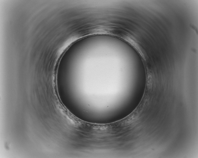 X0000100221051200805301343