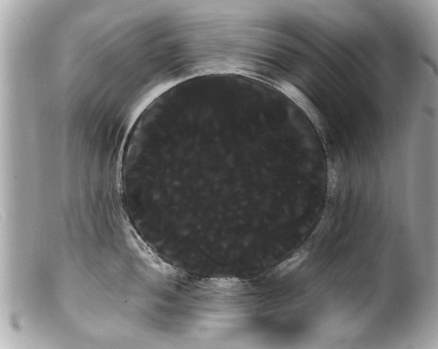 X0000100221052200805301343