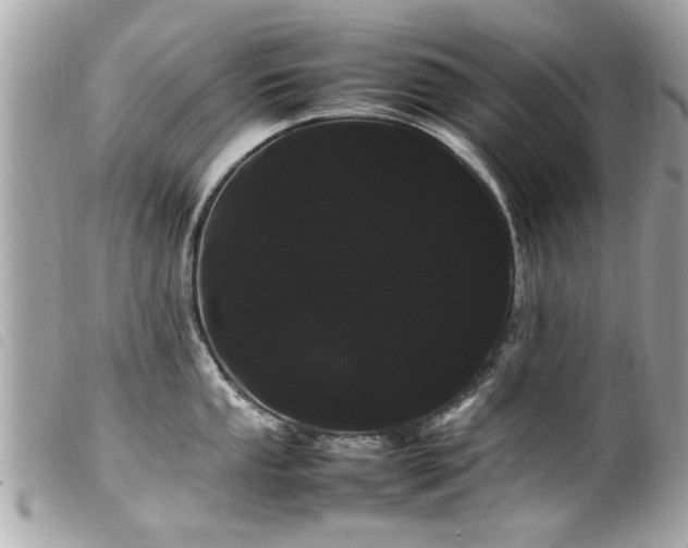 X0000100221053200805301343