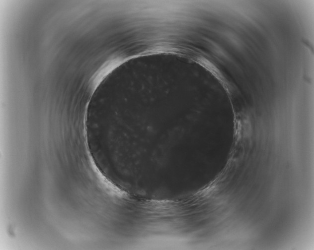 X0000100221055200805301343