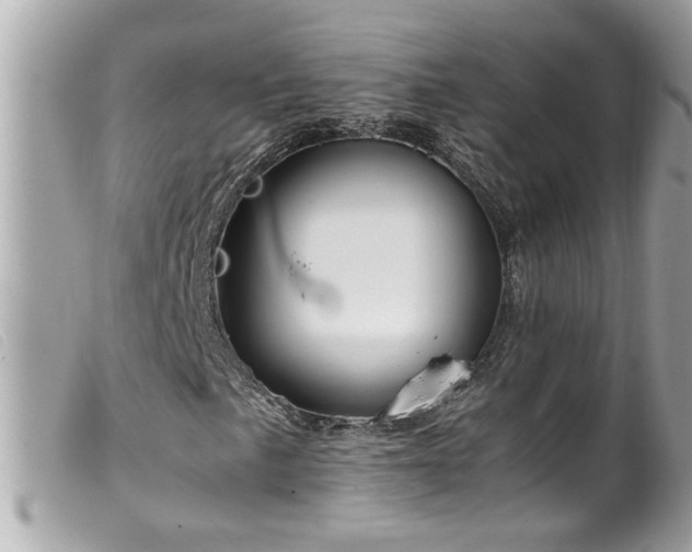 X0000100221057200805301342