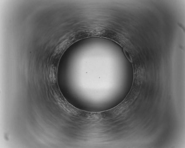 X0000100221058200805301342