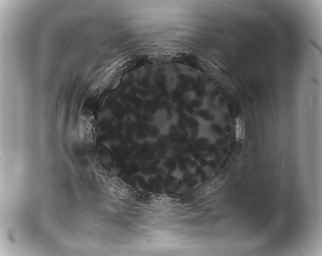 X0000100221059200805301342