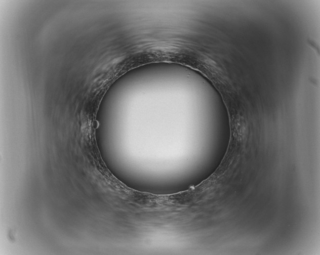 X0000100221061200805301342