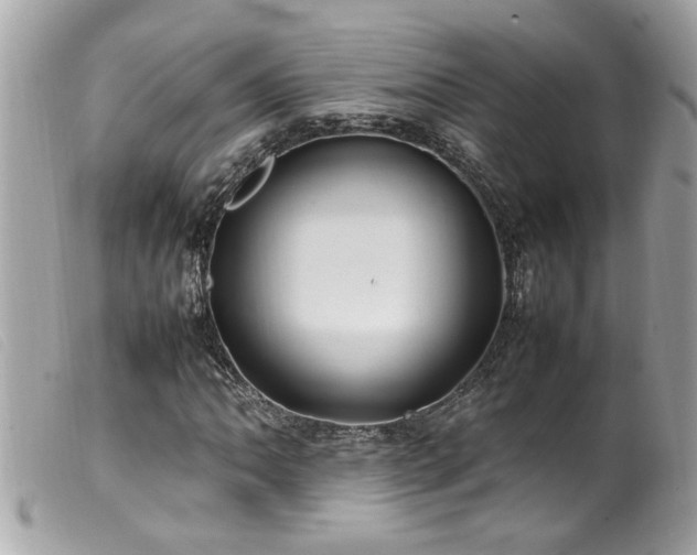 X0000100221062200805301342