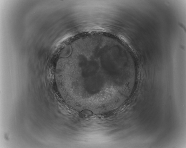 X0000100221063200805301342