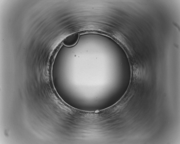 X0000100221068200805301342