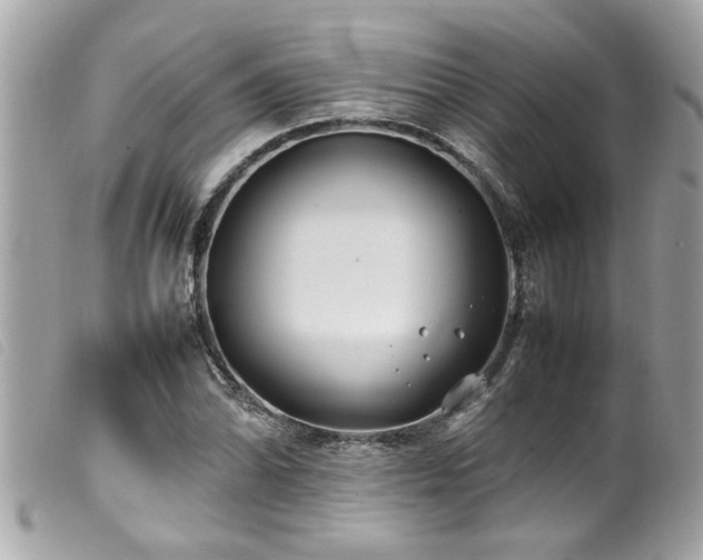X0000100221070200805301342