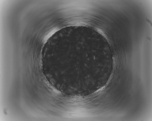 X0000100221071200805301342