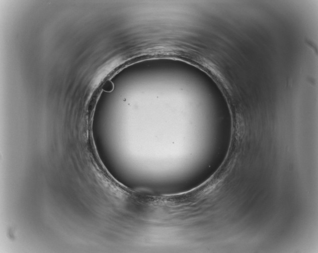 X0000100221075200805301342