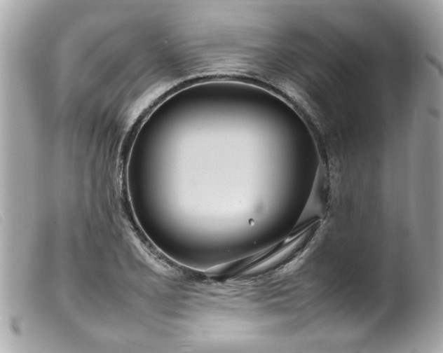 X0000100221077200805301342