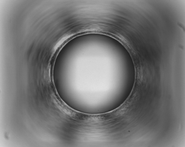 X0000100221078200805301342