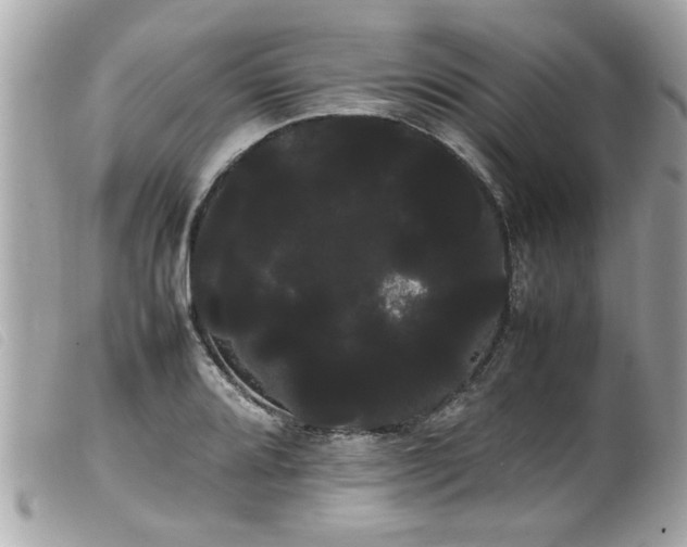 X0000100221080200805301342