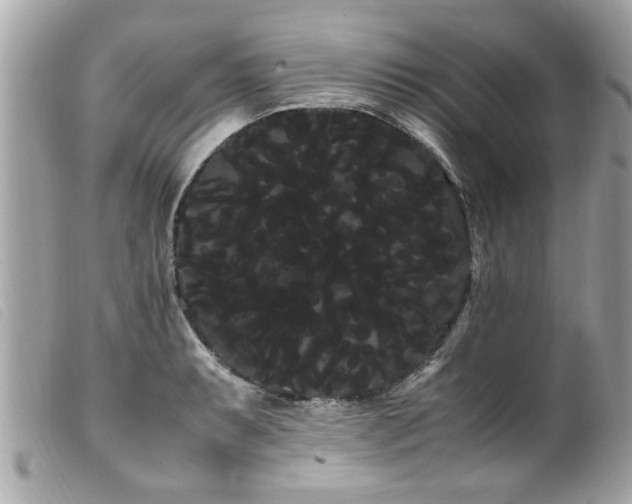 X0000100221087200805301342