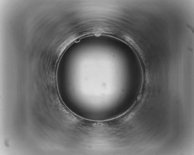 X0000100221089200805301342