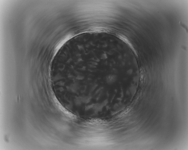 X0000100221091200805301342