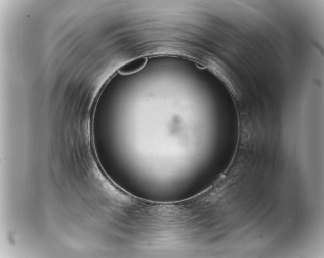 X0000100221092200805301342
