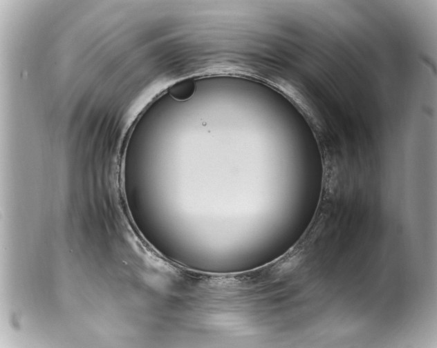 X0000100221094200805301342