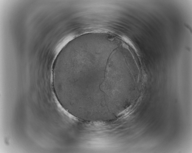 X0000100221095200805301342